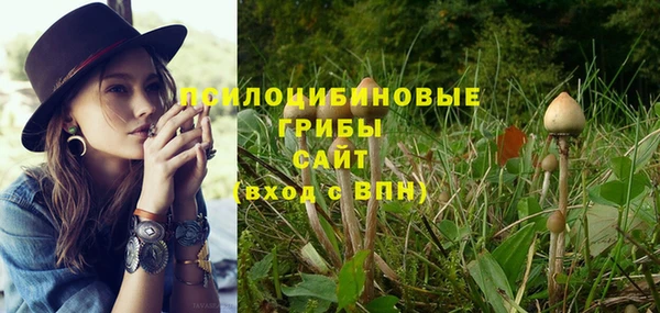 крисы Гусь-Хрустальный