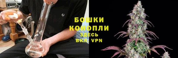 крисы Гусь-Хрустальный
