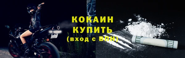 молекула духа Гусиноозёрск