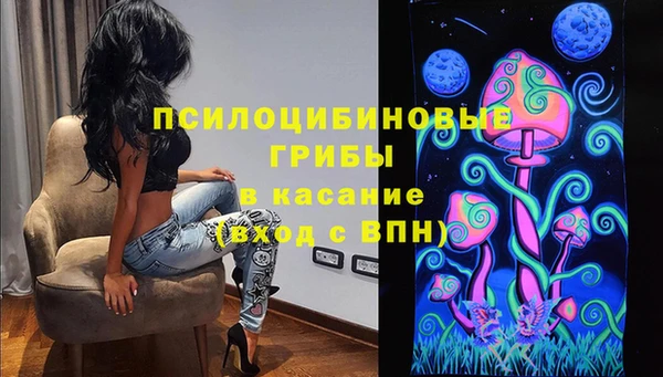 молекула духа Гусиноозёрск