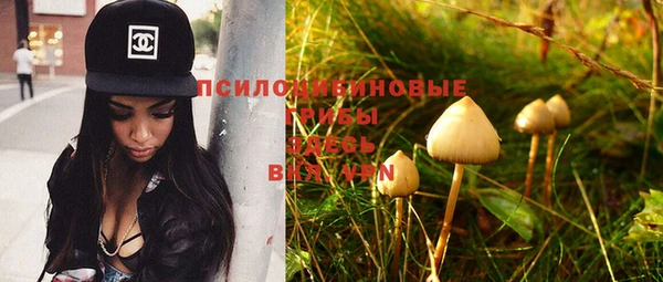 молекула духа Гусиноозёрск