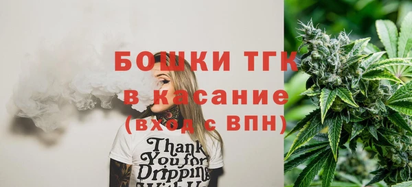 молекула духа Гусиноозёрск