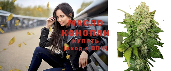 молекула духа Гусиноозёрск