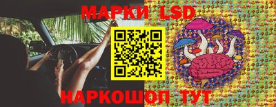 гашик Аргун