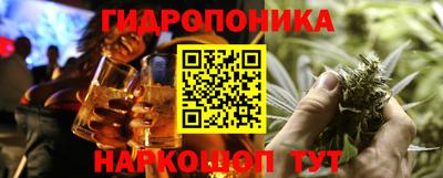 гашик Аргун