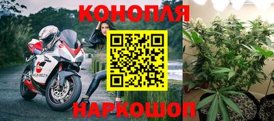 сатива Апшеронск