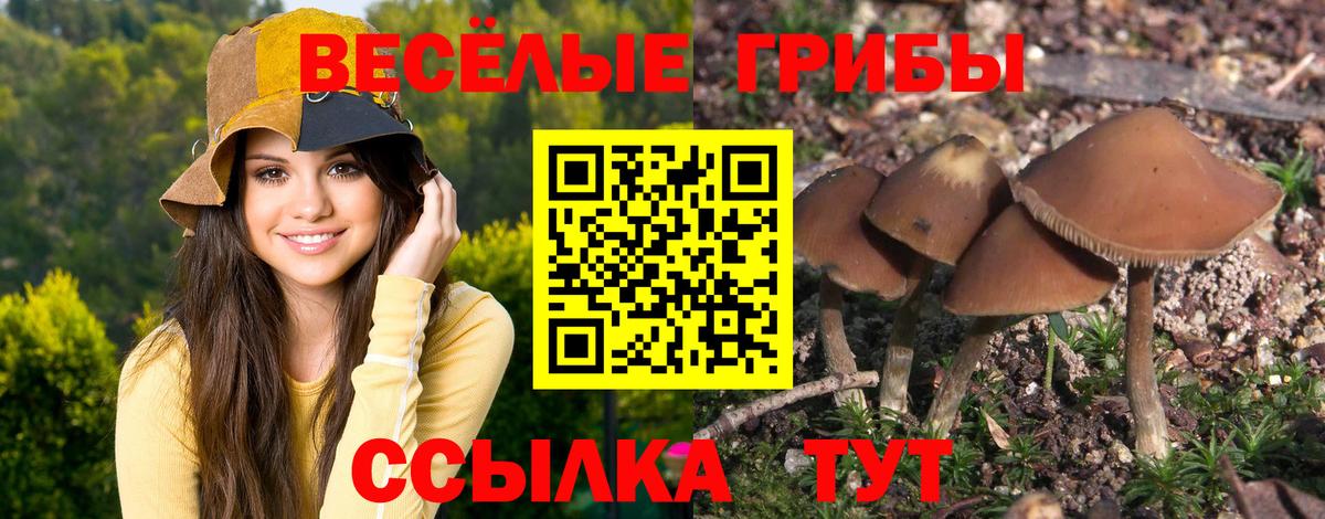 Галлюциногенные грибы Psilocybine cubensis  Галлюциногенные грибы Cubensis  Владивосток 